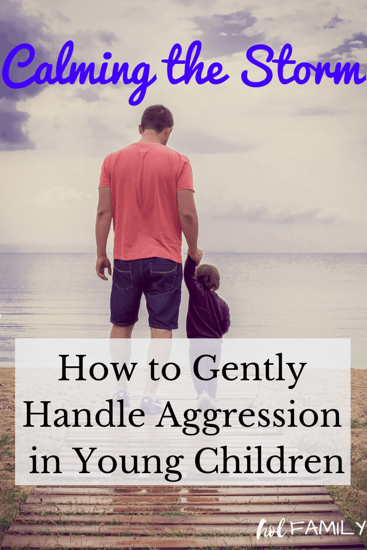 Children are not born knowing how to handle or label their emotions. As parents, we must teach them appropriate ways to express their big feelings, including aggression. While many parents resort to threats and punishment, neither of these are teaching the child and actually only make matters worse. It is possible to gently teach our children how to appropriately handle those big feelings without using bribes, threats, or punishment. #positivediscipline #discipline #holfamily